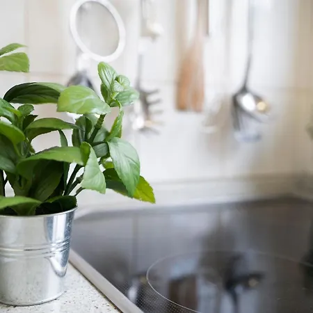 Apartment Haus Seepferdchen Am 4 *